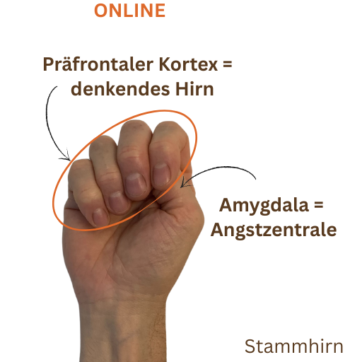 Zeigt eine männliche Hand, die zur Faust geballt ist und den Daumen einschließt. Die Bildrechte sind im Impressum aufgelistet.