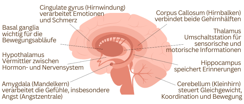 Die Angaben aller Bildquellen erfolgen der Einfachheit halber ausführlich im Impressum.