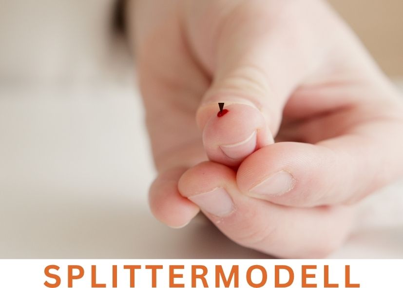 Splittermodell